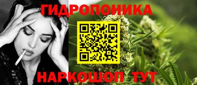 индика Будённовск