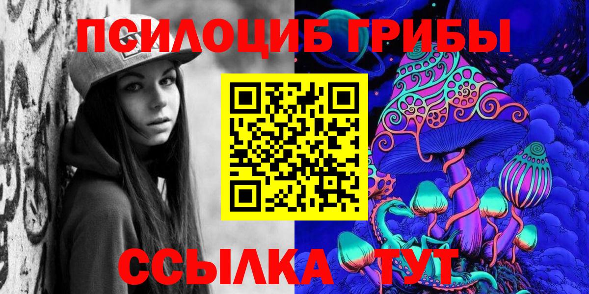 сколько стоит  Сертолово  Псилоцибиновые грибы GOLDEN TEACHER 