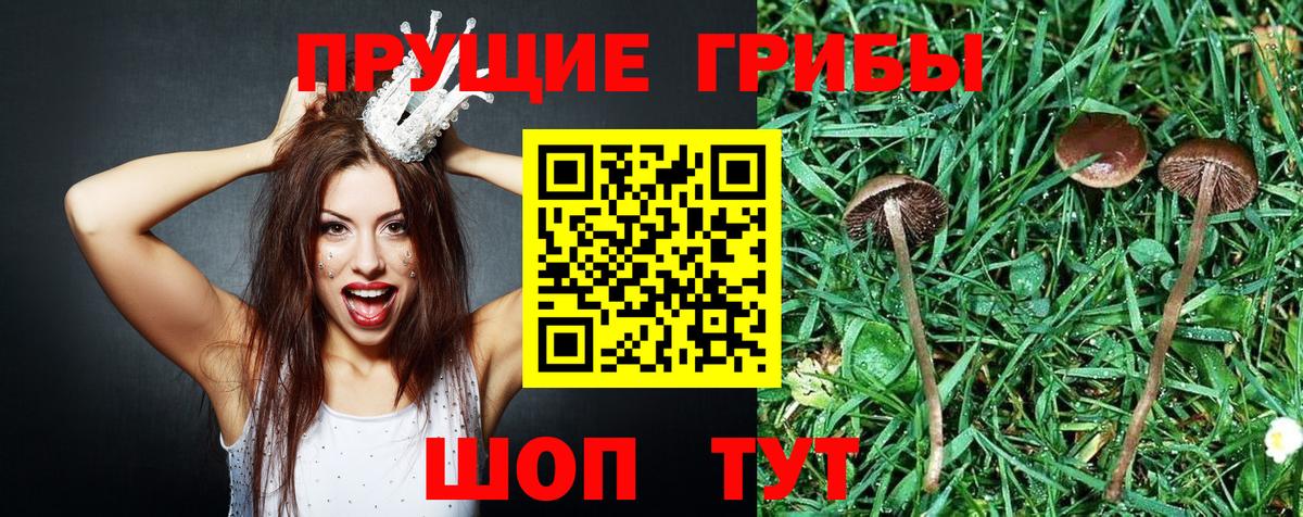 Галлюциногенные грибы MAGIC MUSHROOMS Сертолово